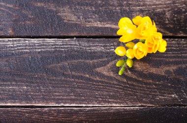 Ahşap arka plan üzerinde taze sarı freesia çiçekler. Metniniz için boş alan.