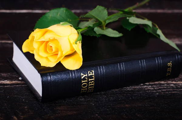 Sarı bir İncil, ahşap arka plan döşeme yükseldi. Metniniz için boş alan