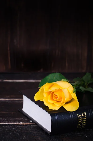 Rosa amarela que coloca em uma Bíblia, fundo de madeira. Espaço livre para o seu texto — Fotografia de Stock