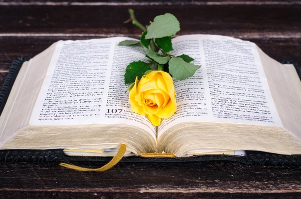 Amarelo subiu em cima de uma velha Bíblia — Fotografia de Stock