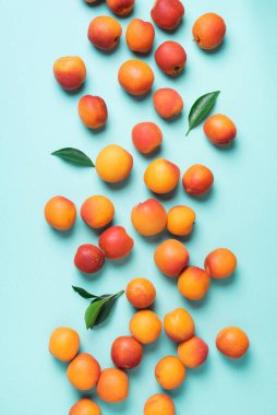 Mavi arka planda kayısı deseni var. Üst manzara, düz yatış. Taze yaz meyvesi konsepti. Yaratıcı tasarım. Sağlıklı vejetaryen yiyecekler, detoks veya diyet konsepti