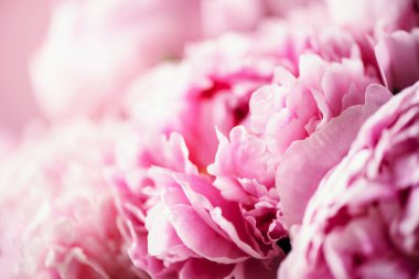 Düğün, doğum günü, yıldönümü buketi. Pastel arka planda pembe şakayık çiçeği. Uzayı kopyala Renkli pastel çiçekli kompozisyon. Kadınlar günü, anneler günü. Şakayık çiçekleri..