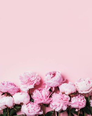 Çerçeve desenli pembe şakayık desenli pastel arka plan. Düz yerde, üst tarafta. Çiçek kompozisyonu. Düğün, doğum günü, yıldönümü buketi. Kadınlar günü, anneler günü. Tasarım için yaratıcı çiçek çerçevesi.