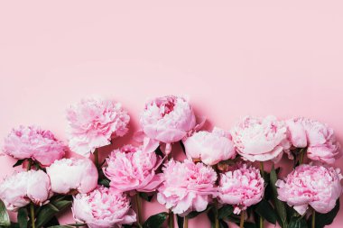 Çiçek deseni, ahşap beyaz arka planda güzel pembe şakayıklardan yapılmış çerçeve. Düz yerde, üst tarafta. Sevgililer Günü geçmişi. Çiçek çerçevesi. Çiçek çerçevesi. Çiçek dokusu