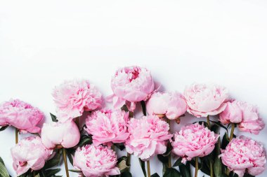 Beyaz arka planda izole edilmiş pembe şakayık desenli çelenk deseni. Düz yerde, üst tarafta. Çiçek kompozisyonu. Düğün, doğum günü, yıldönümü buketi. Kadınlar günü, anneler günü. Yaratıcı çiçek çerçevesi.