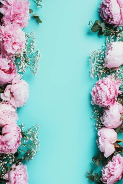 Çiçek deseni, pembe şakayıklardan yapılmış çerçeve, beyaz alkaliptüs çiçekleri, mavi arka planda okaliptüs. Düz yerde, üst tarafta. Uzayı kopyala Düğün, doğum günü, yıldönümü buketi. Kadın günü, Anneler günü.