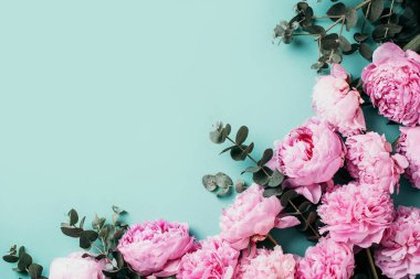 Çiçek deseni, pembe şakayıklardan yapılmış çerçeve, pastel mavi arka planda okaliptüs çiçekleri. Düz yerde, üst tarafta. Uzayı kopyala Düğün, doğum günü, yıldönümü buketi. Sevgililer Günü, Kadınlar Günü, Anneler Günü