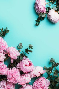 Çiçek deseni, pembe şakayıklardan yapılmış çerçeve, pastel mavi arka planda okaliptüs çiçekleri. Düz yerde, üst tarafta. Uzayı kopyala Düğün, doğum günü, yıldönümü buketi. Sevgililer Günü, Kadınlar Günü, Anneler Günü