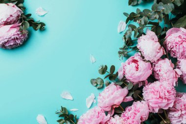 Çerçeve desenli pembe şakayıklar, okaliptüs çiçekleri pastel mavi arka planda. Düz yerde, üst tarafta. Çiçek kompozisyonu. Düğün, doğum günü, yıldönümü buketi. Kadınlar günü, anneler günü. Yaratıcı çiçek..