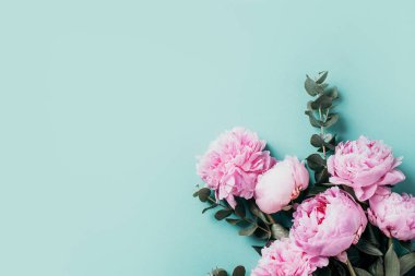 Çiçek deseni, pembe şakayıklardan yapılmış çerçeve, pastel mavi arka planda okaliptüs çiçekleri. Düz yerde, üst tarafta. Uzayı kopyala Düğün, doğum günü, yıldönümü buketi. Sevgililer Günü, Kadınlar Günü, Anneler Günü