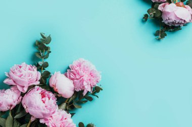 Çerçeve desenli pembe şakayıklar, okaliptüs çiçekleri pastel mavi arka planda. Düz yerde, üst tarafta. Çiçek kompozisyonu. Düğün, doğum günü, yıldönümü buketi. Kadınlar günü, anneler günü. Yaratıcı çiçek..