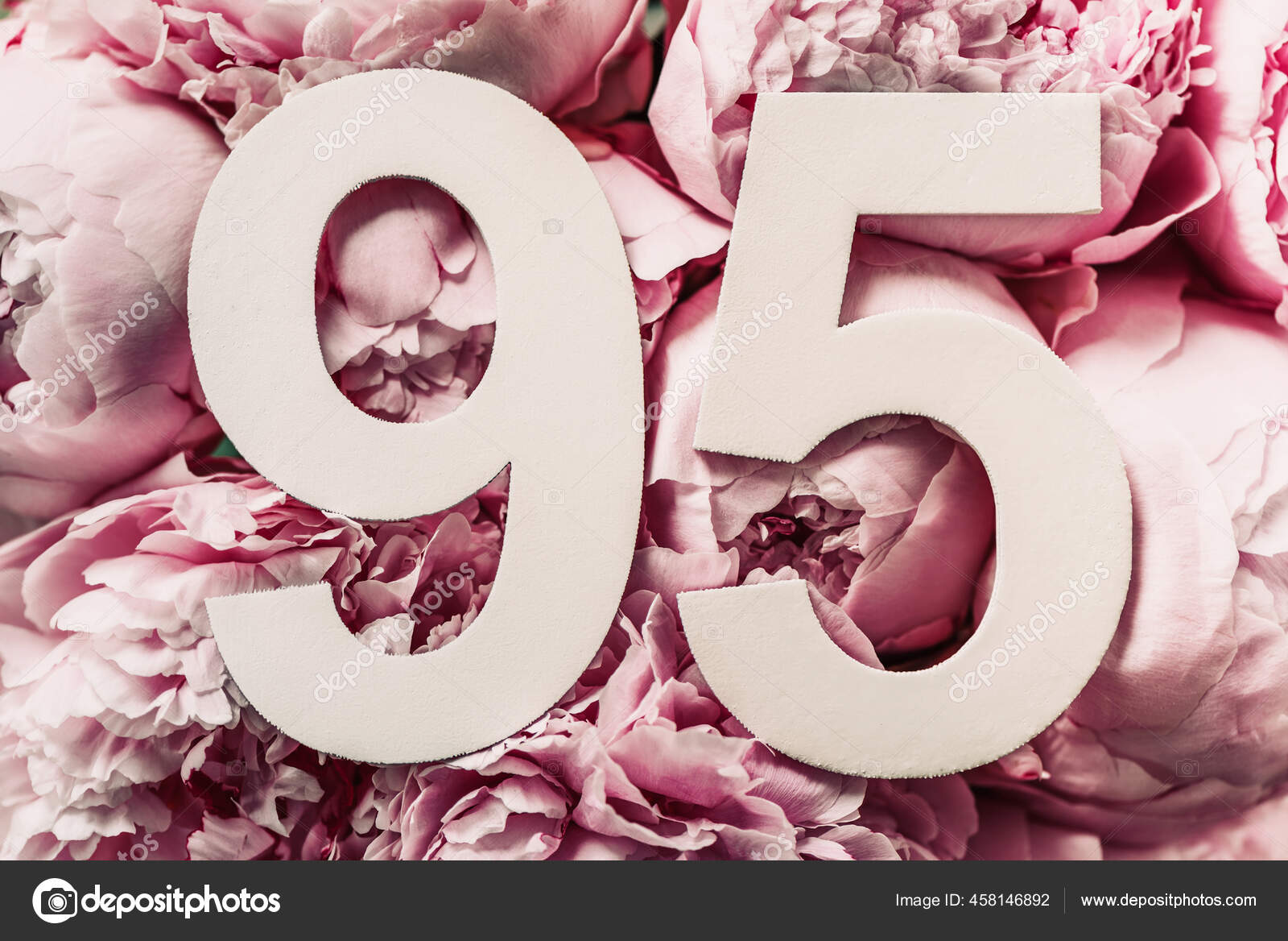 牡丹花数字95 生日贺卡上面有题字95 周年纪念的概念顶部视图花朵背景上的白色数字庆祝活动 图库照片 C J Chizhe