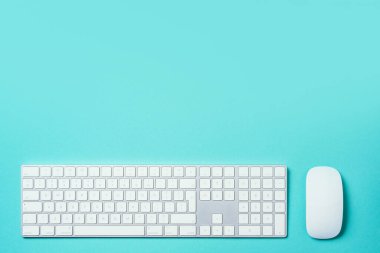 Mavi arka planda beyaz fare ve klavye. Üst Manzara. Uzayı kopyala Düz yatıyordu. Uzaktan kumanda, iş. Merkez ofis çalışma alanı. Kadınsı çalışma alanı. Blogger, iş konsepti. Model.