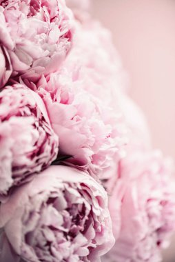 Düğün, doğum günü, yıldönümü buketi. Pastel arka planda pembe şakayık çiçeği. Uzayı kopyala Renkli pastel çiçekli kompozisyon. Kadınlar günü, anneler günü. Şakayık çiçekleri..