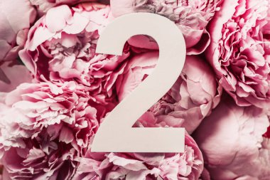 Yaratıcı düzen. Pembe şakayık çiçekleri ve 2 haneli rakamlar. Doğum günü tebrik kartı. Yıldönümü konsepti. Üst Manzara. Uzayı kopyala Çiçek arkaplanının üzerinde zarif beyaz bir rakam. Sayısal rakam