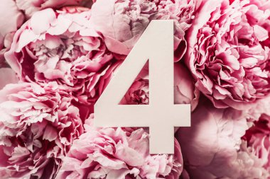 Yaratıcı düzen. Pembe şakayık çiçekleri ve 4 haneli rakamlar. Doğum günü tebrik kartı. Yıldönümü konsepti. Üst Manzara. Uzayı kopyala Çiçek arkaplanının üzerinde zarif beyaz bir rakam. Sayısal rakam