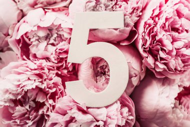 Yaratıcı düzen. Pembe şakayık çiçekleri ve beş beş numara. Doğum günü tebrik kartı. Yıldönümü konsepti. Üst Manzara. Uzayı kopyala Çiçek arkaplanının üzerinde zarif beyaz bir rakam. Sayısal rakam