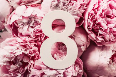 8 Mart. Mutlu Kadınlar Günü. Yaratıcı düzen. Pembe şakayık çiçekleri ve 8 haneli rakamlar. Doğum günü tebrik kartı. Yıldönümü konsepti. Üst Manzara. Çiçek arka planında beyaz rakam. Sayısal rakam