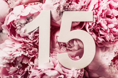 Yaratıcı düzen. Şakayık çiçekleri, on beş numara. 15. yazılı doğum günü tebrik kartı. Yıldönümü konsepti. Üst Manzara. Uzayı kopyala Çiçek arka planında şık beyaz bir rakam. Sayısal rakam.