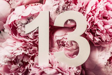 Yaratıcı düzen. Şakayık çiçekleri, on üç numara. Üzerinde 13 yazan doğum günü tebrik kartı. Yıldönümü konsepti. Üst Manzara. Uzayı kopyala Çiçek arka planında şık beyaz bir rakam. Sayısal rakam.