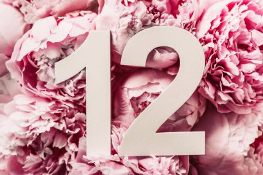 Yaratıcı düzen. Şakayık çiçekleri, on iki haneli rakamlar. Doğum günü tebrik kartında 12 yazılıydı. Yıldönümü konsepti. Üst Manzara. Uzayı kopyala Çiçek arka planında şık beyaz bir rakam. Sayısal rakam.