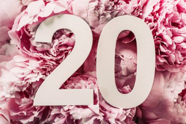 Şakayık çiçekleri, yirmi haneli rakamlar. Üzerinde 20 yazan doğum günü tebrik kartı. Yıldönümü konsepti. Üst Manzara. Çiçek arka planında beyaz numara. Sayısal rakam, kutlama olayı, şablon, broşür.