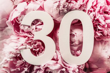 Şakayık çiçekleri, otuz haneli rakamlar. Doğum günü tebrik kartında 30 yazılıydı. Yıldönümü konsepti. Üst Manzara. Çiçek arka planında beyaz numara. Sayısal rakam, kutlama olayı, şablon, broşür.