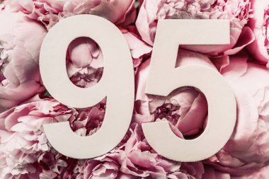 Şakayık çiçekleri, doksan beş haneli. Doğum günü tebrik kartında 95 yazılıydı. Yıldönümü konsepti. Üst Manzara. Çiçek arka planında beyaz numara. Sayısal rakam, kutlama olayı, şablon, broşür.