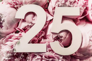 Şakayık çiçekleri, rakam 25. Üzerinde 25 yazan doğum günü tebrik kartı. Yıldönümü konsepti. Üst Manzara. Çiçek arka planında beyaz numara. Sayısal rakam, kutlama olayı, şablon, broşür.