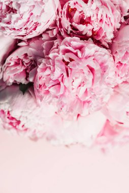 Pastel arka planda pembe şakayık çiçeği. Uzayı kopyala Çiçek kompozisyonu. Düğün, doğum günü, yıldönümü buketi. Kadınlar günü, anneler günü. Şakayık çiçekleri..