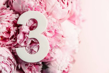 Yaratıcı düzen. Pembe şakayık çiçekleri ve üç haneli rakamlar. Doğum günü tebrik kartı. Yıldönümü konsepti. Üst Manzara. Uzayı kopyala Çiçek arkaplanının üzerinde zarif beyaz bir rakam. Sayısal rakam