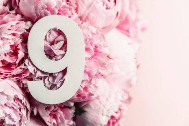 Yaratıcı düzen. Pembe şakayık çiçekleri ve 9 haneli rakamlar. Doğum günü tebrik kartı. Yıldönümü konsepti. Üst Manzara. Uzayı kopyala Çiçek arkaplanının üzerinde zarif beyaz bir rakam. Sayısal rakam