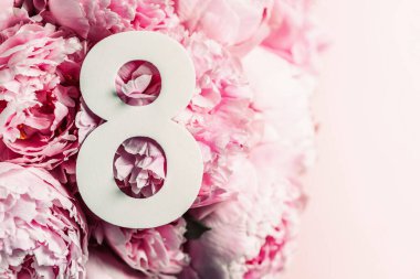 8 Mart. Mutlu Kadınlar Günü. Yaratıcı düzen. Pembe şakayık çiçekleri ve 8 haneli rakamlar. Doğum günü tebrik kartı. Yıldönümü konsepti. Üst Manzara. Çiçek arka planında beyaz rakam. Sayısal rakam