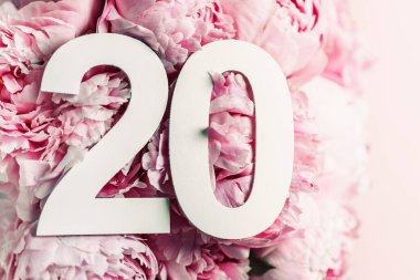 Şakayık çiçekleri, yirmi haneli rakamlar. Üzerinde 20 yazan doğum günü tebrik kartı. Yıldönümü konsepti. Üst Manzara. Çiçek arka planında beyaz numara. Sayısal rakam, kutlama olayı, şablon, broşür.