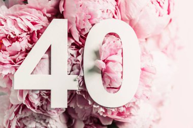 Şakayık çiçekleri, kırk haneli rakamlar. Doğum günü tebrik kartında 40 yazılıydı. Yıldönümü konsepti. Üst Manzara. Çiçek arka planında beyaz numara. Sayısal rakam, kutlama olayı, şablon, broşür.