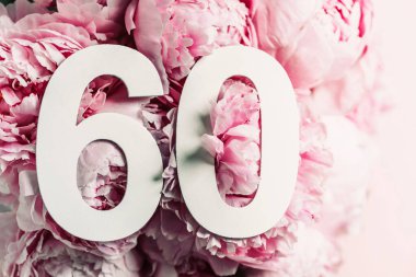 Şakayık çiçekleri, altmış haneli rakamlar. Altmış yazılı doğum günü tebrik kartı. Yıldönümü konsepti. Üst Manzara. Çiçek arka planında beyaz numara. Sayısal rakam, kutlama olayı, şablon, broşür.