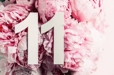 Yaratıcı düzen. Şakayık çiçekleri, on bir numara. 11. yazıyla birlikte doğum günü tebrik kartı. Yıldönümü konsepti. Üst Manzara. Uzayı kopyala Çiçek arka planında şık beyaz bir rakam. Sayısal rakam.