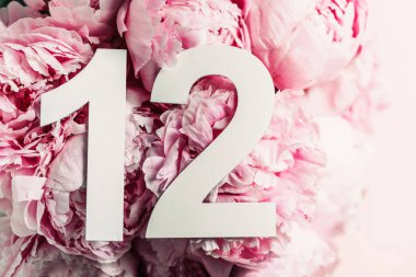 Yaratıcı düzen. Şakayık çiçekleri, on iki haneli rakamlar. Doğum günü tebrik kartında 12 yazılıydı. Yıldönümü konsepti. Üst Manzara. Uzayı kopyala Çiçek arka planında şık beyaz bir rakam. Sayısal rakam.