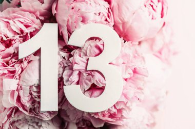 Yaratıcı düzen. Şakayık çiçekleri, on üç numara. Üzerinde 13 yazan doğum günü tebrik kartı. Yıldönümü konsepti. Üst Manzara. Uzayı kopyala Çiçek arka planında şık beyaz bir rakam. Sayısal rakam.