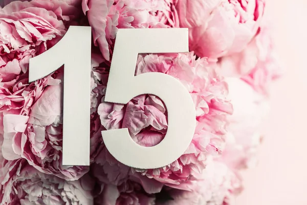 Yaratıcı düzen. Şakayık çiçekleri, on beş numara. 15. yazılı doğum günü tebrik kartı. Yıldönümü konsepti. Üst Manzara. Uzayı kopyala Çiçek arka planında şık beyaz bir rakam. Sayısal rakam.