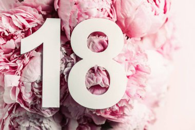 Yaratıcı düzen. Şakayık çiçekleri, on sekizinci rakam. Doğum günü tebrik kartı ve 18. yazı. Yıldönümü konsepti. Üst Manzara. Uzayı kopyala Çiçek arka planında şık beyaz bir rakam. Sayısal rakam.