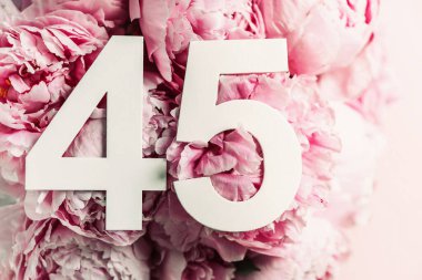 Şakayık çiçekleri, 45 haneli rakamlar. 45 yazılı doğum günü tebrik kartı var. Yıldönümü konsepti. Üst Manzara. Çiçek arka planında beyaz numara. Sayısal rakam, kutlama olayı, şablon, broşür.
