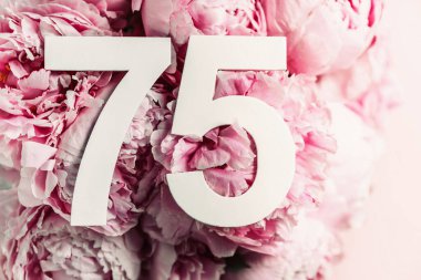 Şakayık çiçekleri, 75 haneli rakamlar. Doğum günü tebrik kartında 75 yazılıydı. Yıldönümü konsepti. Üst Manzara. Çiçek arka planında beyaz numara. Sayısal rakam, kutlama olayı, şablon, broşür.