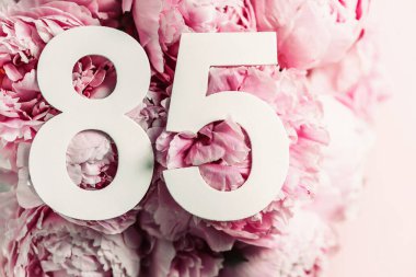 Şakayık çiçekleri, seksen beş basamaklı. 85 yazısıyla birlikte doğum günü tebrik kartı. Yıldönümü konsepti. Üst Manzara. Çiçek arka planında beyaz numara. Sayısal rakam, kutlama olayı, şablon, broşür.