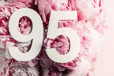 Şakayık çiçekleri, doksan beş haneli. Doğum günü tebrik kartında 95 yazılıydı. Yıldönümü konsepti. Üst Manzara. Çiçek arka planında beyaz numara. Sayısal rakam, kutlama olayı, şablon, broşür.