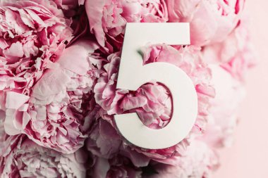 Yaratıcı düzen. Pembe şakayık çiçekleri ve beş beş numara. Doğum günü tebrik kartı. Yıldönümü konsepti. Üst Manzara. Uzayı kopyala Çiçek arkaplanının üzerinde zarif beyaz bir rakam. Sayısal rakam