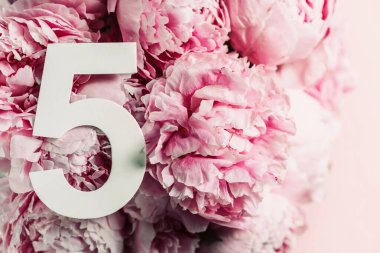 Yaratıcı düzen. Pembe şakayık çiçekleri ve beş beş numara. Doğum günü tebrik kartı. Yıldönümü konsepti. Üst Manzara. Uzayı kopyala Çiçek arkaplanının üzerinde zarif beyaz bir rakam. Sayısal rakam