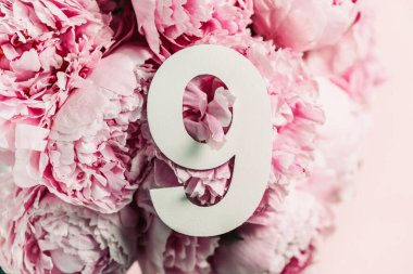 Yaratıcı düzen. Pembe şakayık çiçekleri ve 9 haneli rakamlar. Doğum günü tebrik kartı. Yıldönümü konsepti. Üst Manzara. Uzayı kopyala Çiçek arkaplanının üzerinde zarif beyaz bir rakam. Sayısal rakam