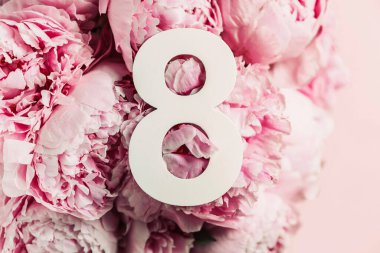 8 Mart. Mutlu Kadınlar Günü. Yaratıcı düzen. Pembe şakayık çiçekleri ve 8 haneli rakamlar. Doğum günü tebrik kartı. Yıldönümü konsepti. Üst Manzara. Çiçek arka planında beyaz rakam. Sayısal rakam
