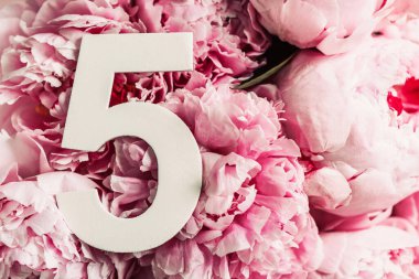 Yaratıcı düzen. Pembe şakayık çiçekleri ve beş beş numara. Doğum günü tebrik kartı. Yıldönümü konsepti. Üst Manzara. Uzayı kopyala Çiçek arkaplanının üzerinde zarif beyaz bir rakam. Sayısal rakam